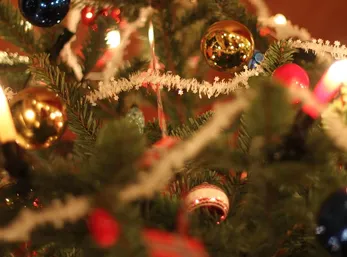 Christmas Tree 2009