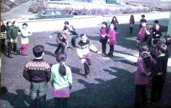 Playing tag in the yard. Can you name them all?